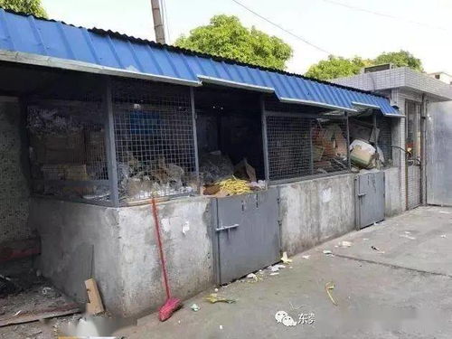 廢品站再做這類回收，就要攤上大事了！環境局提醒 一般工業固廢未按要求存放，最低罰款10萬元，嚴重的還要拘留